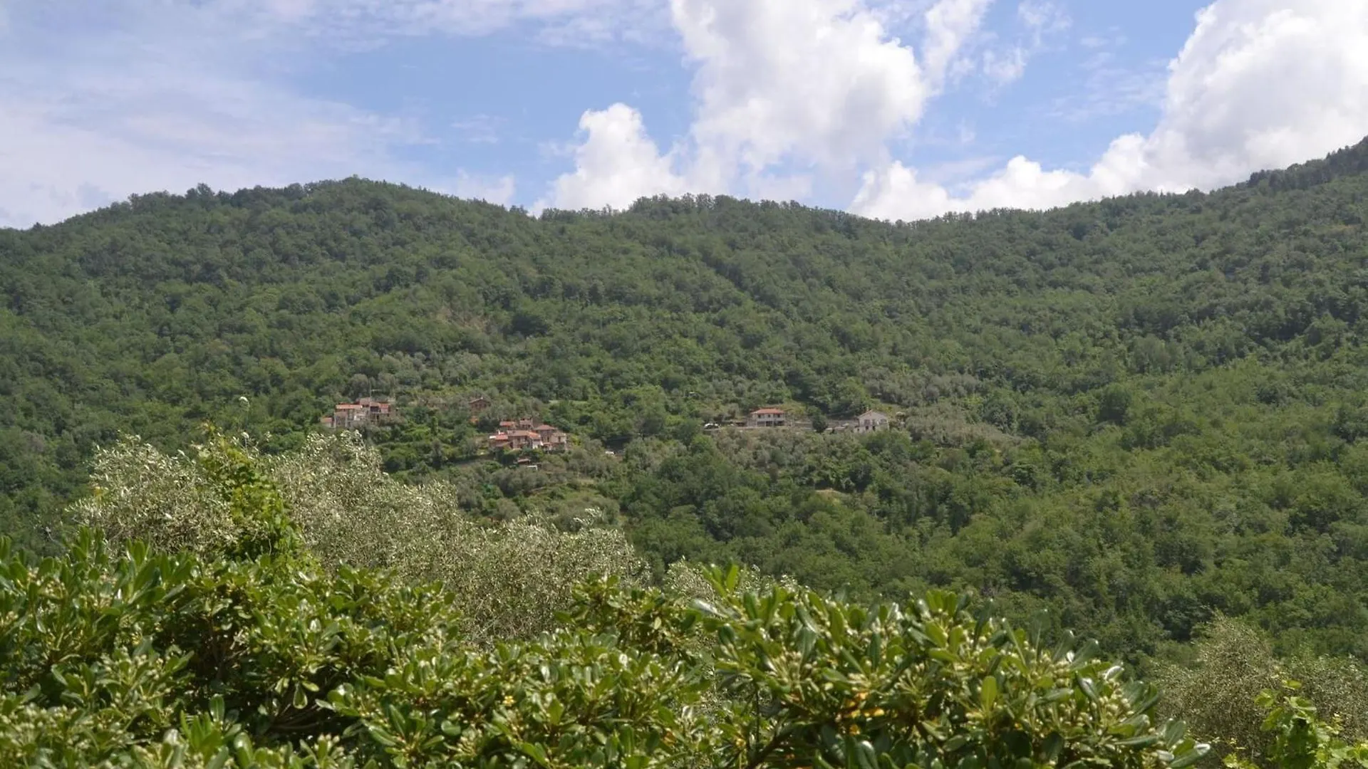 Cosy Holiday Home In Testico With Terrace And Barbecue Italy