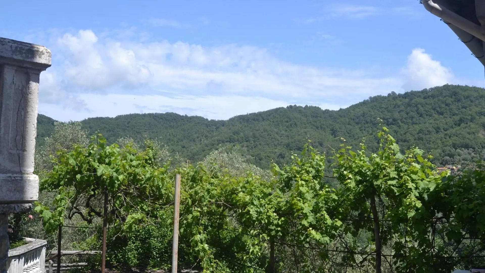 Cosy Holiday Home In Testico With Terrace And Barbecue Italy